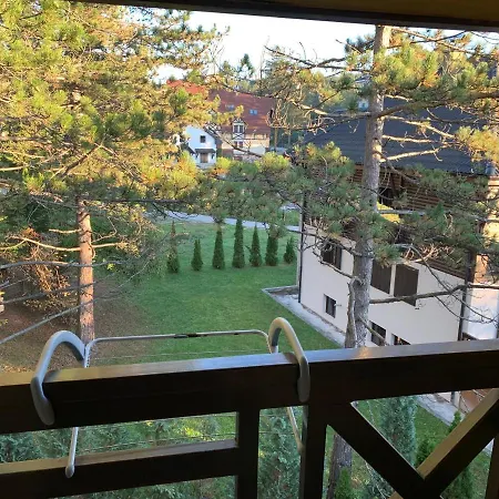 Bella * زلاتيبور